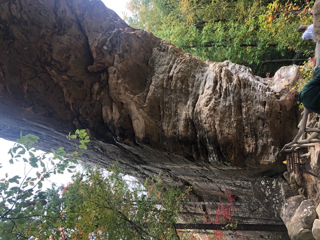 Natural bridge in Red River Gorge