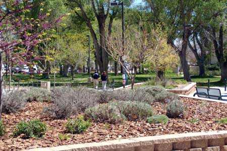 photo of New Mexico Tech campus